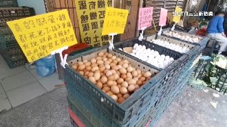 「政府便宜去跟他買」攤販自嘲賣超貴白蛋