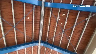 濕紙團惡搞！水道博物館廁所天花板遭殃