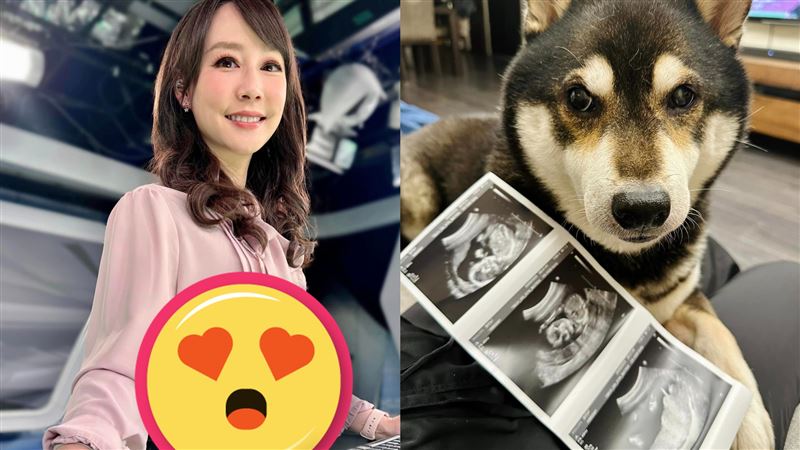 41歲吳宇舒「懷孕五個月」　甜美孕照曝光