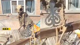 黑龍江一處廢棄民宅，驚見一具神祕遺骨。（圖／翻攝自《鳳凰周刊》）