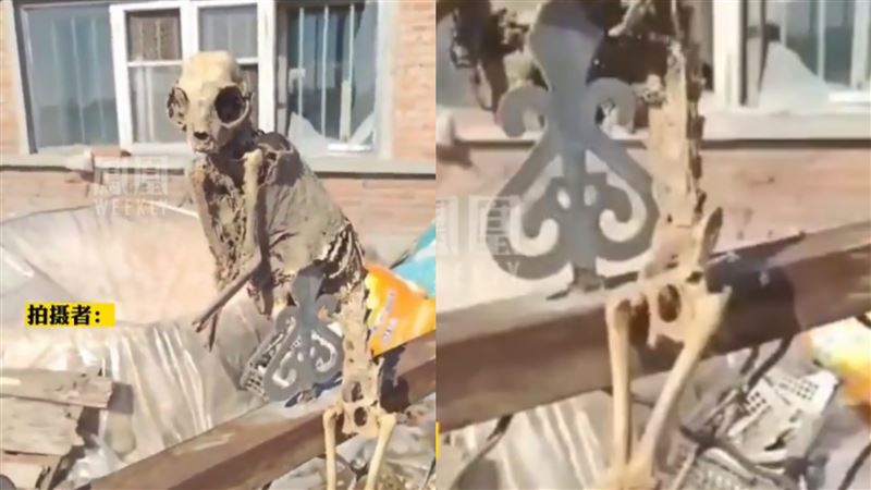 廢棄屋驚見穿衣骨骸　巨大眼窩宛如小矮人