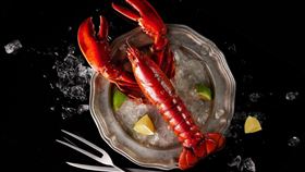 王品集團白色情人節優惠。夏慕尼／藝奇／品田牧場／初瓦／阪前和牛鐵板燒。（圖／王品集團提供）