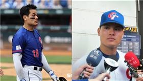 經典賽,台灣隊,張育成,悍創,WBC