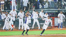 張育成滿貫砲  嗨翻隊友球迷（1）2023世界棒球經典賽預賽台灣隊11日晚間在台中出戰強敵荷蘭隊，2局下，台灣隊張育成（前右）擊出滿貫砲，現場球迷與選手們情緒超嗨。中央社記者張新偉攝  112年3月11日