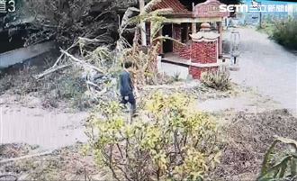 彰監受刑人逃逸畫面曝！翻牆悠哉大步離去