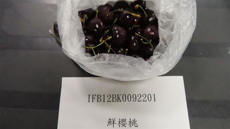 智利櫻桃驗出禁用農藥！逾5萬公斤全退運