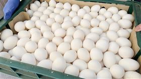 陳吉仲估雞蛋缺口5、6月補足國內雞蛋荒持續延燒，農委會主委陳吉仲10日受訪表示，禽流感已經控制，蛋農不斷增養、孵養，但產量與需求量仍有一定差距，缺口補足大概要等到5、6月，農委會將全力調度。圖為台北市信義區一家早餐店10日到貨的雞蛋。中央社記者張新偉攝  112年3月10日