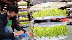 國際蔬食文化節　鼓勵多吃素少吃葷（1）2022國際蔬食文化節展覽8日在台北世貿一館舉辦，環保團體紛紛鼓勵大家多吃素、少吃葷，減緩地球的暖化。現場展示推廣水耕蔬菜。中央社記者郭日曉攝  111年5月8日