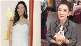 楊繡惠（左）曬出一張和楊紫瓊（右）的對比照。（圖／翻攝自楊繡惠臉書）