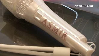 張惠妹「小白」變身一卡通　搶演唱會商機