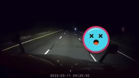 6秒超毛畫面曝光！深夜開車撞見「不明靈體」嚇抖：只有下半身。（圖／翻攝自YT）