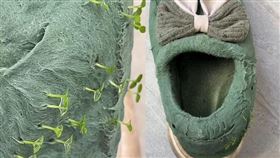 （圖／翻攝自網易新聞）