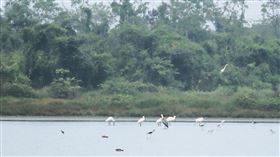 台南市政府官網