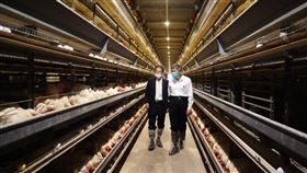 柯文哲赴彰化蛋雞畜牧場。（圖／民眾黨提供）