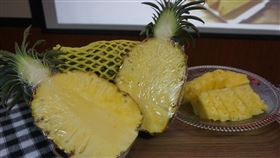 金鑽鳳梨跨海直送金門　限量嚐鮮300箱金門縣農會和台灣好農平台合作，並與產地台南關廟農民接軌，直送新鮮優質的金鑽鳳梨，每箱10公斤、限量300箱，13日起到19日接受預訂，20日開始發售。中央社記者黃慧敏攝  110年4月13日