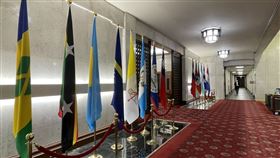 台灣邦交國（圖／記者高逸帆攝影）