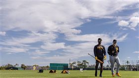 ▲匹茲堡海盜春訓基地。（資料照／取自匹茲堡海盜FB）