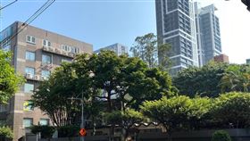 市長官邸更新前(圖/新北市政府)