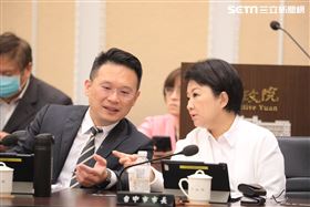 盧秀燕（圖／翻攝畫面）