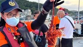 ▲由於中國禁止澳大利亞龍蝦進口，有不肖業者見有利可圖，從馬祖走私活體龍蝦。（圖／翻攝畫面）