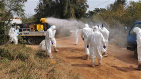 H9N2(金門縣動植物防疫所提供)