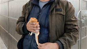 鬃獅蜥,通緝男,北漂,打工,萌寵,淡水,詐欺,新北,高雄