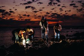屏東海生館活動「夜巡海生館」驚艷登場（業配勿用）