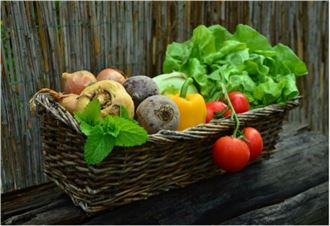 「藍區」長者多活過90！醫：5食物防失智