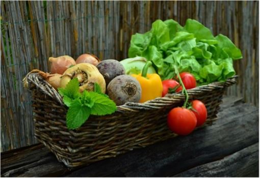 「藍區」長者多活過90！醫：5食物防失智