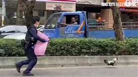 馬路,雞,漁網,垃圾袋,南昌公園(邱小姐授權提供)