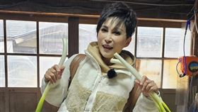 王瑞玲（翻攝臉書）