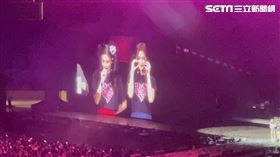▲BLACKPINK演唱會。（圖／讀者提供）