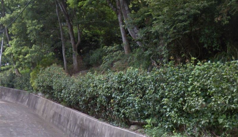 苗栗病嬤獨養精障孫女 2人竹林輕生雙亡