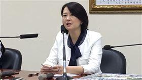 國民黨,美豬,王鴻葳／陳彥宇攝