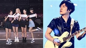 BLACKPINK,五月天怪獸（圖／翻攝自臉書）