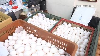 支援蛋荒！藥局體恤老人排蛋苦「限量賣」