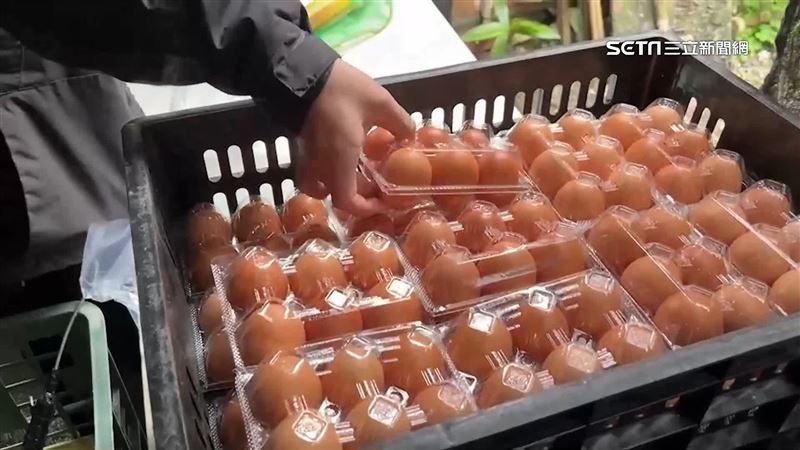 買蛋秘密基地掀搶購潮　清水地熱遊客狂買