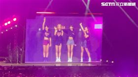 ▲BLACKPINK演唱會。（圖／讀者提供）