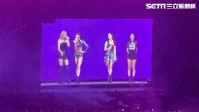 ▲BLACKPINK演唱會。（圖／讀者提供）