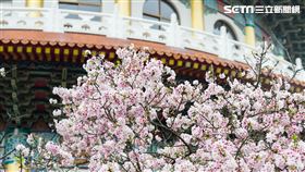 淡水天元宮（記者陳弋攝影）