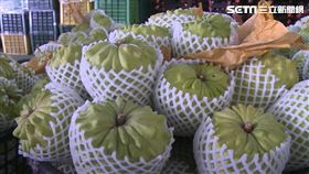 鳳梨釋迦,中國,副縣長,果農,受阻（記者王浩原攝影）