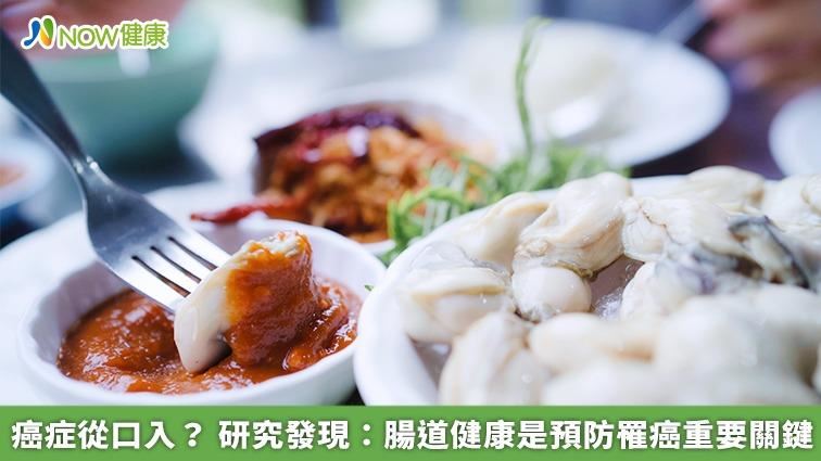 癌症從口入？研究指：腸道健康是防癌關鍵