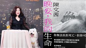 ▲陳文茜因病也找出另一種活法，分享新書希望可以讓每個人都積極面對人生。（圖／翻攝自陳文茜臉書）