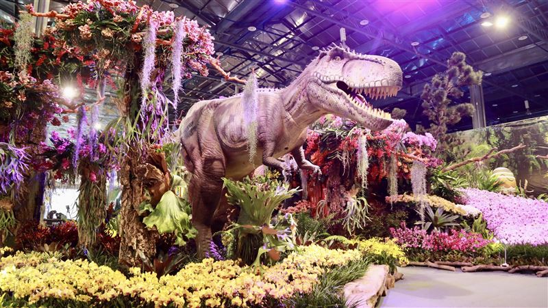 台灣國際蘭展閉幕　未來外銷訂單逾112億