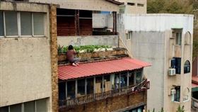 一名阿嬤跑到遮雨棚上種菜。（圖／翻攝自《路上觀察學院》）