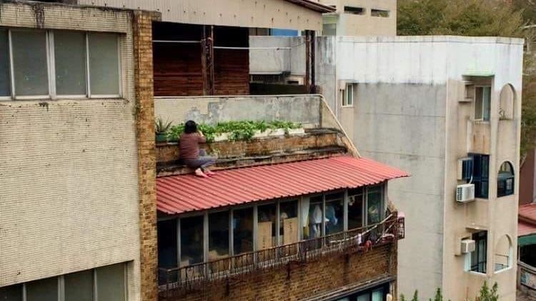 阿嬤5樓翻牆種菜　踩斜面遮雨棚民眾嚇壞