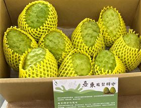 鳳梨釋迦（台東縣府提供）