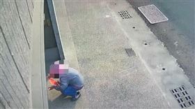 撕春聯,失智症,仁武區,高雄市