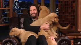 基努李維上節目被狗狗淹沒。（圖／翻攝自The Tonight Show）