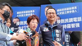 洪秀柱幫羅智強站台。(圖/羅智強辦公室提供)